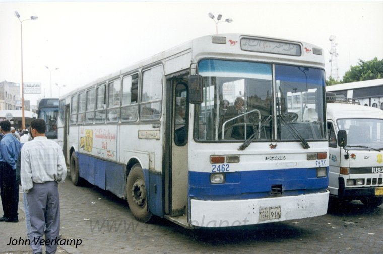 Bus Egypt