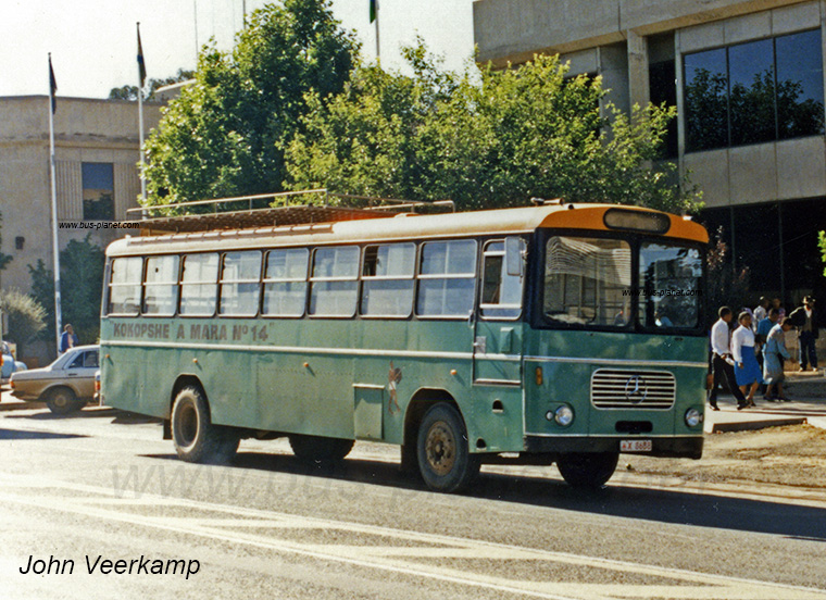 Bus