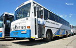 Buses in South Africa