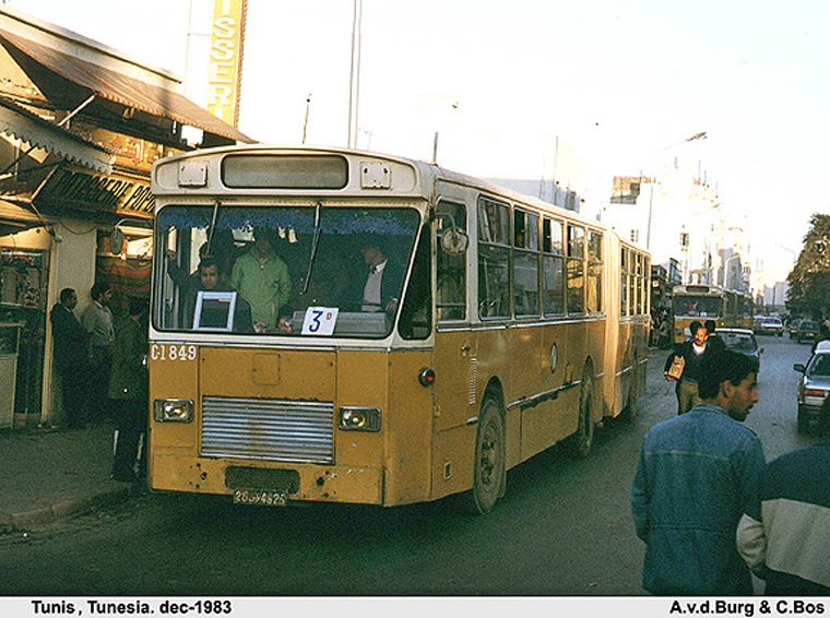 Buses in Tunisia-Tunis-TRANSTUR